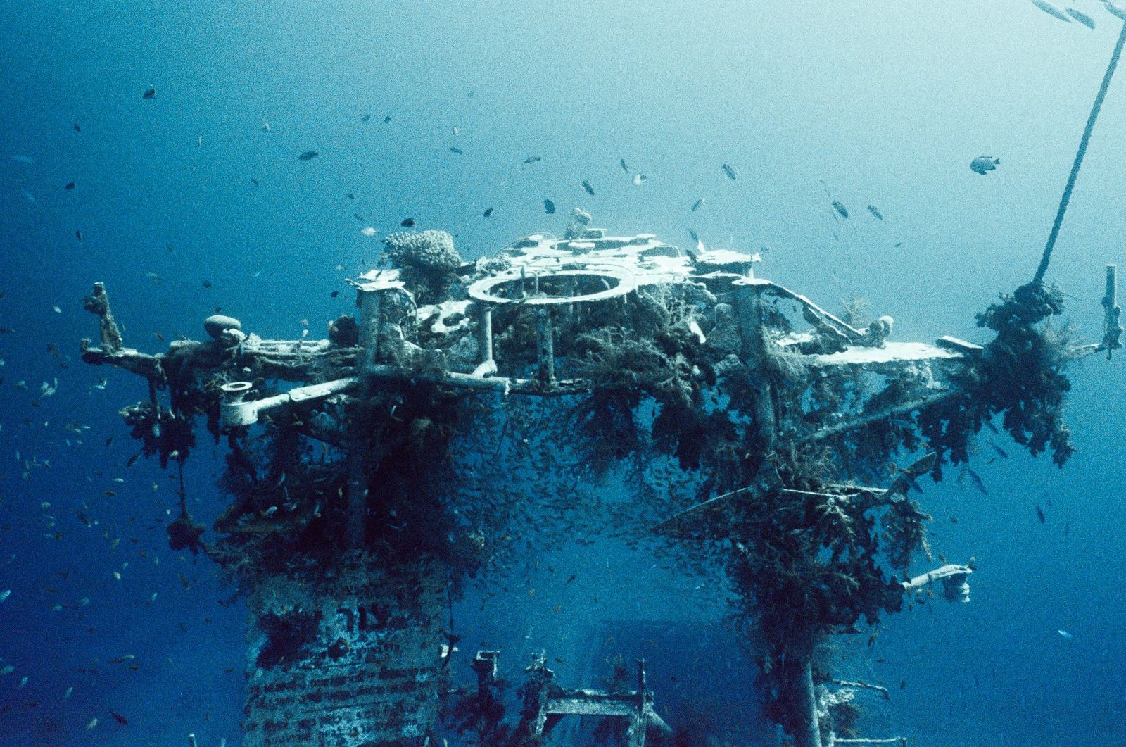 Coral-covered wreck with fish