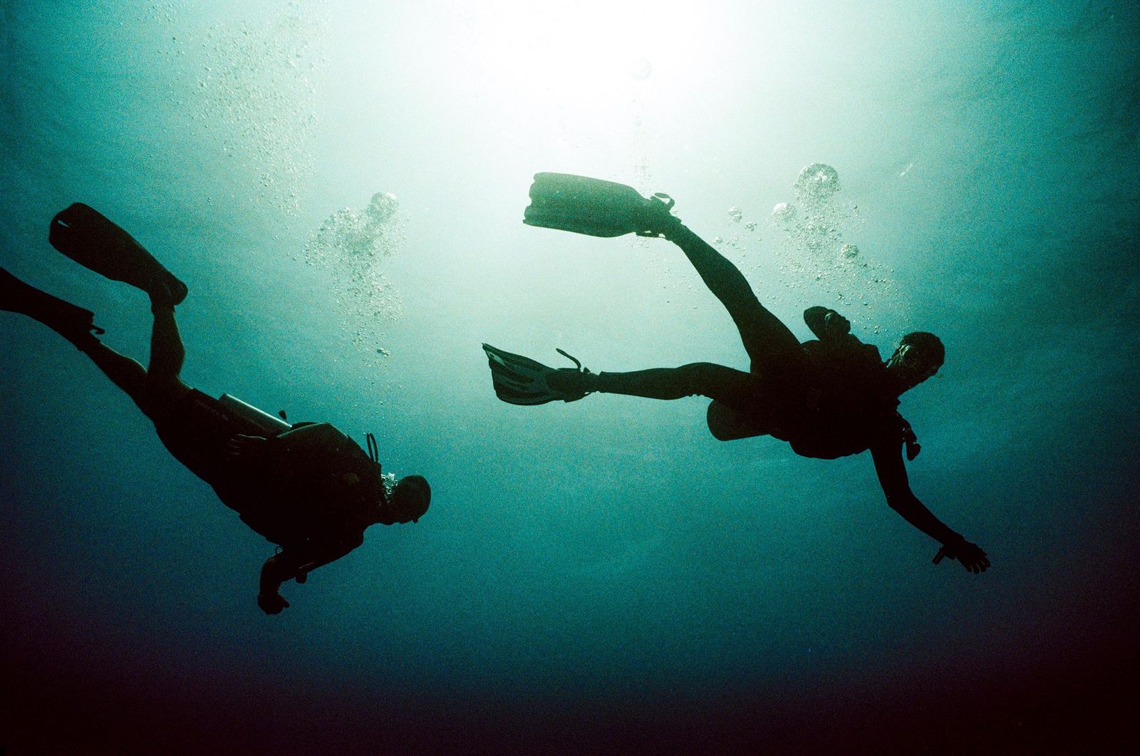Two divers in silhouette against green water