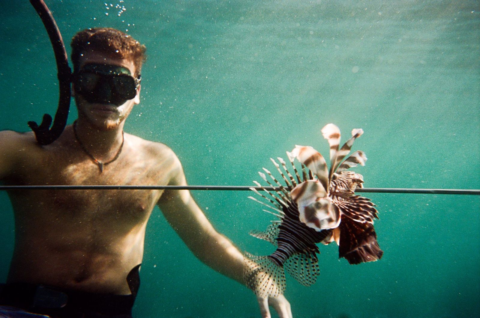 Snorkeler face to face with a lionfish