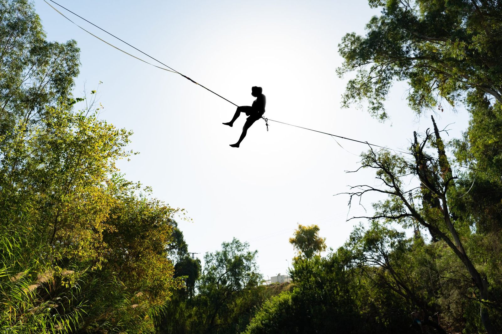 Slackliner silhouetted against the sky between trees